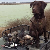 Tripp Sumrall (@trippsumrall) 's Twitter Profile