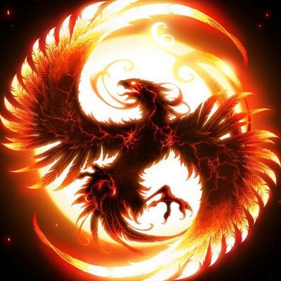 不死鳥ぴーちゃん Phoenix P Chan Twitter 不死鳥ぴーちゃん Phoenix P Chan Twitter