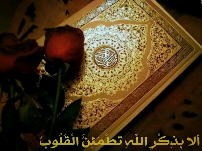 ‏‏‏‏‏‏‏‏‏‏الجَـنُوبِـﯧـَاتْ مَنْ ڱَانَ فْيّهِن ξـِرْڨ جَنُوبـِﮯ فَـﻤَابَالِڱْ لَوڱَانَتْ جَنُوبِـﯾـَﮧ اَبَآ ξـَـنْ جَـﺩْ♥instgram jooshoo93