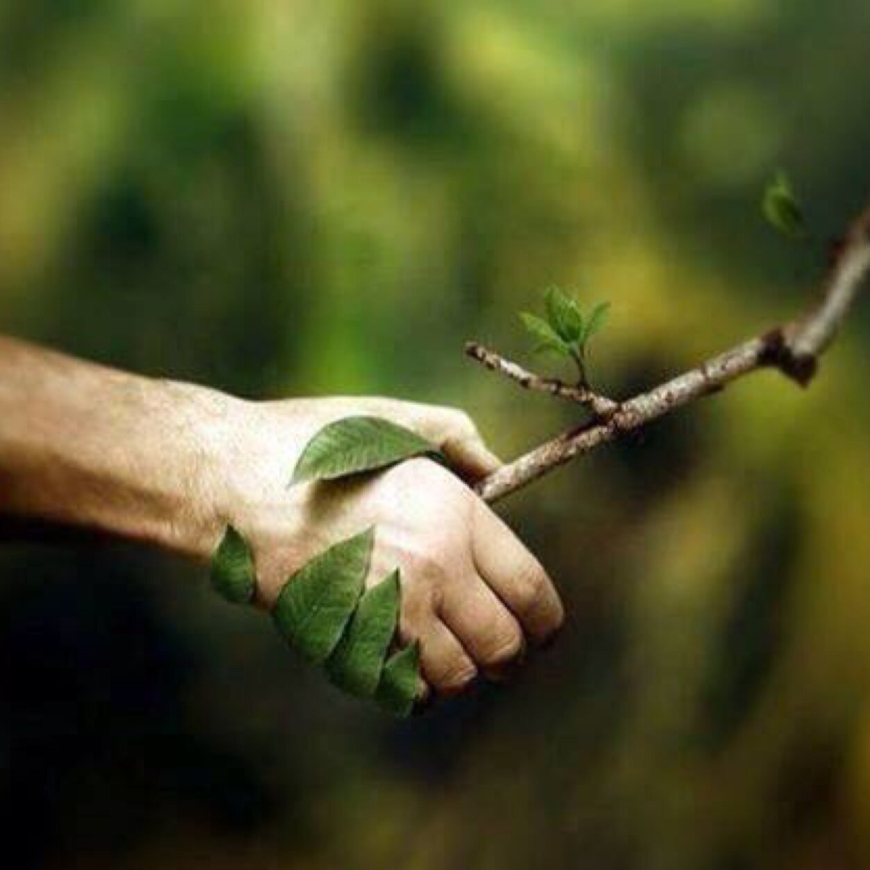 peace_taakun's profile picture. 晴れの国岡山県の田舎に生息しています。 葡萄農家でDJです。