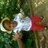 TumeloLekitlane's profile image