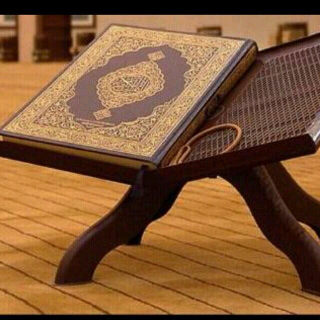 Pussion about everything in life...يارب حسن الخاتمة