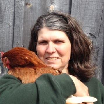 Proud farmer for @BurnbraeFarms with a PHD in Poultry Science and a passion for horses, chickens and the environment