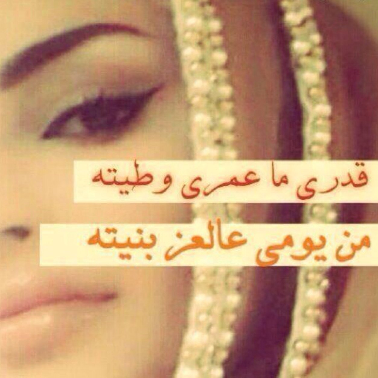 AllilMohra Profile Picture