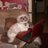 simbalady's profile image