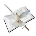 Pastor Willie Rios - @WillieRios9 - Twitter