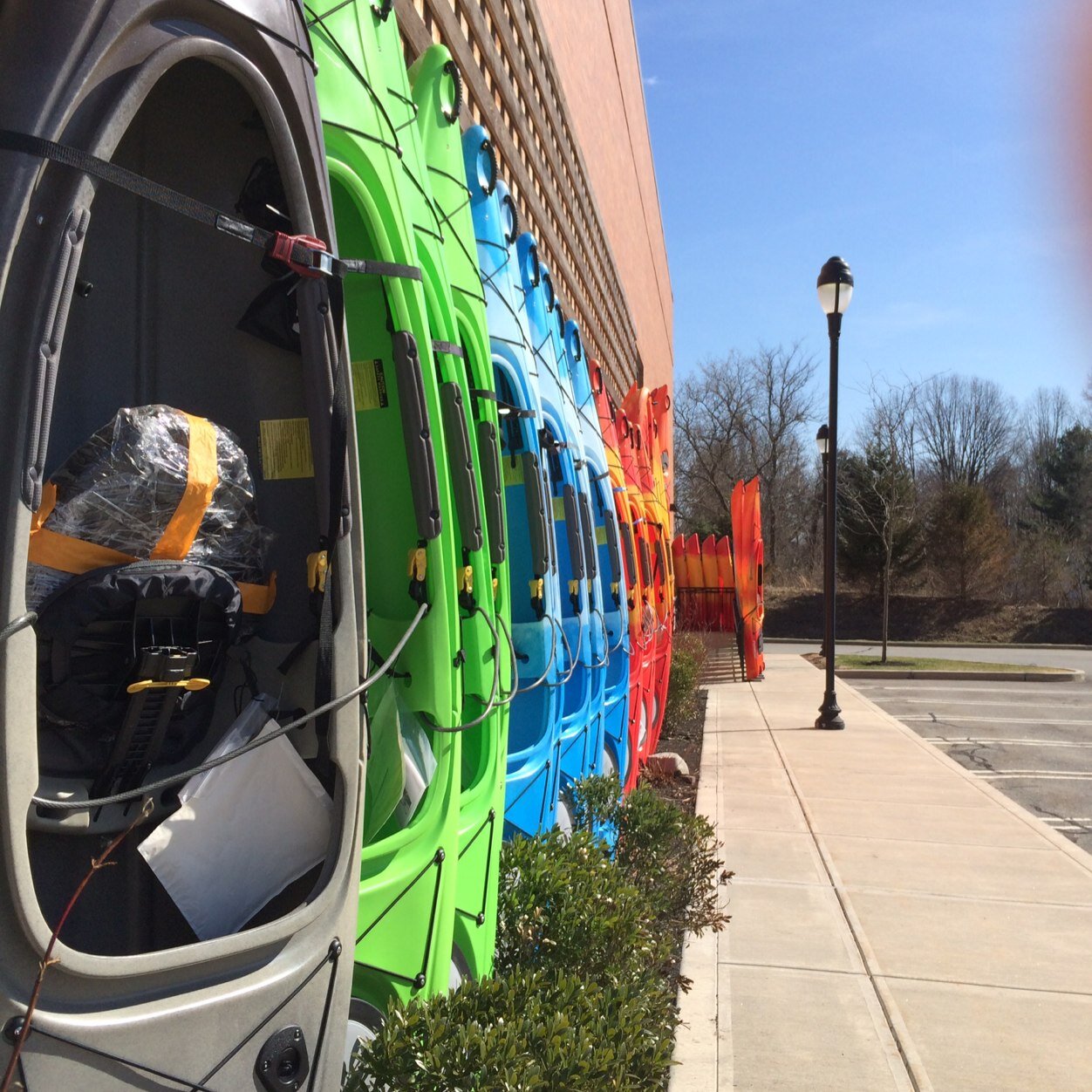 MelissaGolden6's profile picture. 