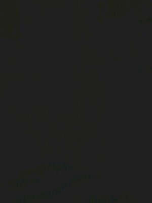 divaniaurell's profile picture. 