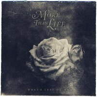 More Than Life (@morethanlife_) 's Twitter Profile