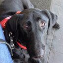 ❤Tabitha Best❤ - @TCB160 - Twitter