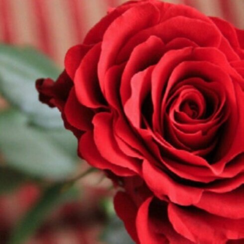 ‏‏‏‏‏‏‏‏‏‏‏‏‏‏‏ &الند:؟ ﻻيعن التجري أنما هو لتصحيح المسار&ﻻأحد يعلو :؟على النقداﻻمحمدعليه الصﻻةوالسﻻم&
