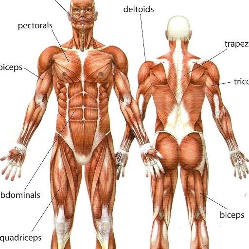 Fully qualified, experienced Biology teachers are here to guide you through any Biology problems in the Leaving Cert on biologygrindsonline@gmail.com
