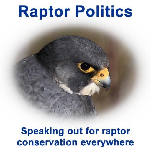 Dedicated to highlighting the persecution of birds of prey. Read our many articles on the website and please leave your comments