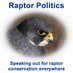 Raptor Politics (@raptorpolitics) Twitter profile photo