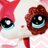splashypaws's profile image