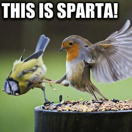 JamesECollins1's profile picture. 