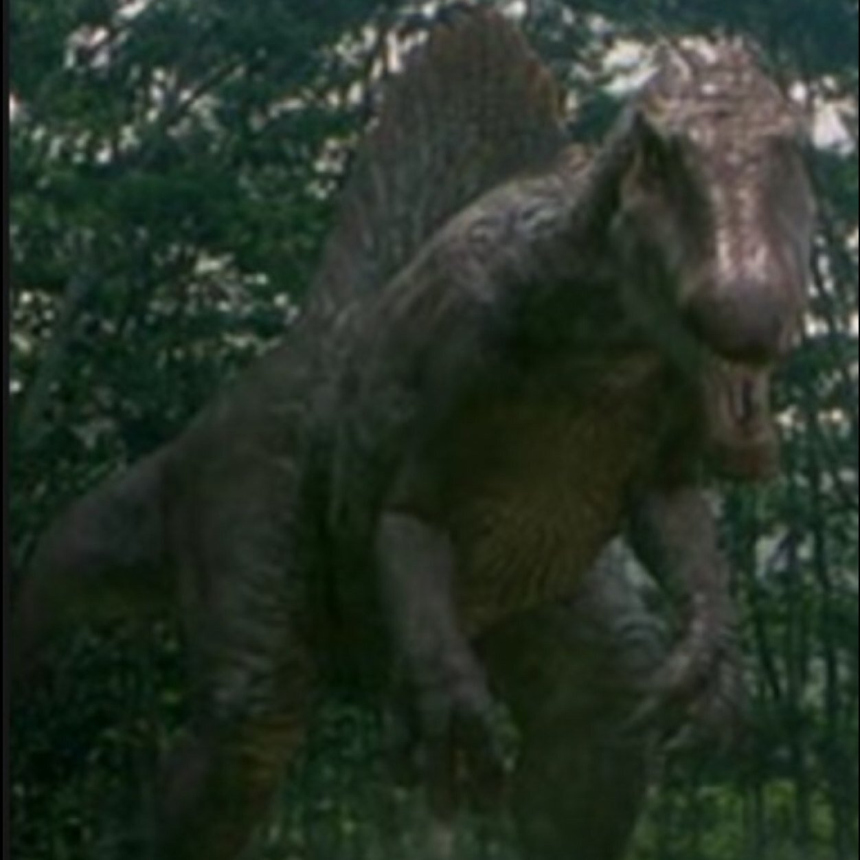 SpinoDinoGirl's profile picture. A female spino *roars* i am more bigger then the t rex the biggest meat eater that ever lived! Dont mess with me i will end up eating you #female #single