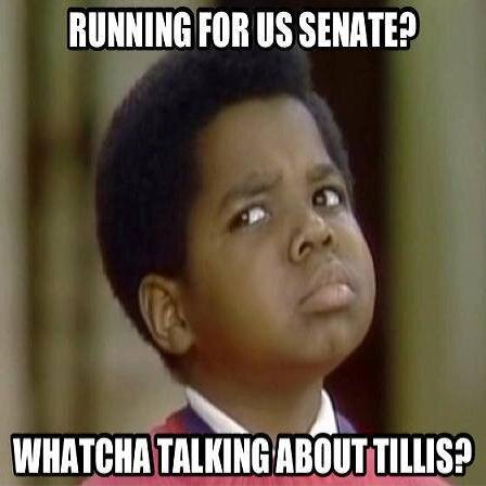 Talkin_Tillis's profile picture. This page is dedicated to the blunderous political career of NC Senate Candidate, Thom Tillis.
