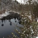 Susan McGroarty - @DrMcgroarty - Twitter