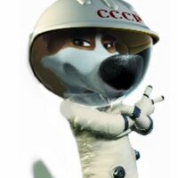 Strelka (@stardog_strelka) 's Twitter Profile