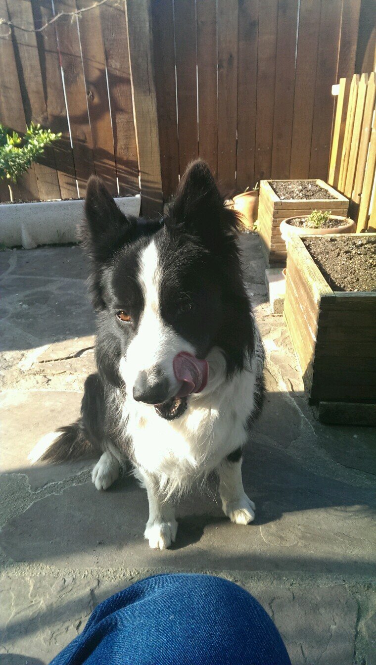 Gabrimateo's profile picture. 