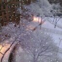 Dee Robinson - @decarlotyrone - Twitter