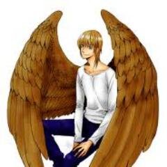 I'm no angel, I'm just a messed up blind kid with wings