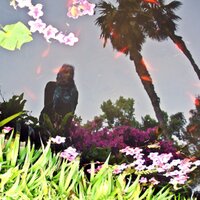 Feyza Kılıç (@feyzelk) Twitter profile photo