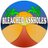BleachedA_holes's profile image