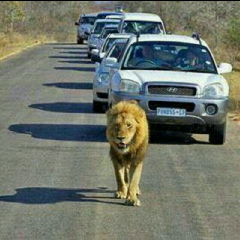 ‏الحياه حلوه