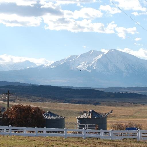 Nelophone's profile picture. Journalist