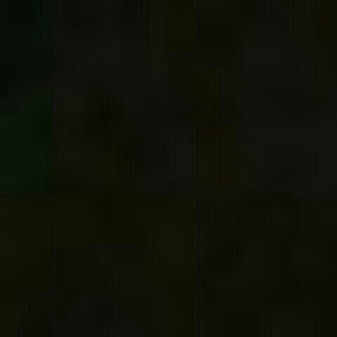 hunterlaboucan's profile picture. kik me @Miksew.hunter