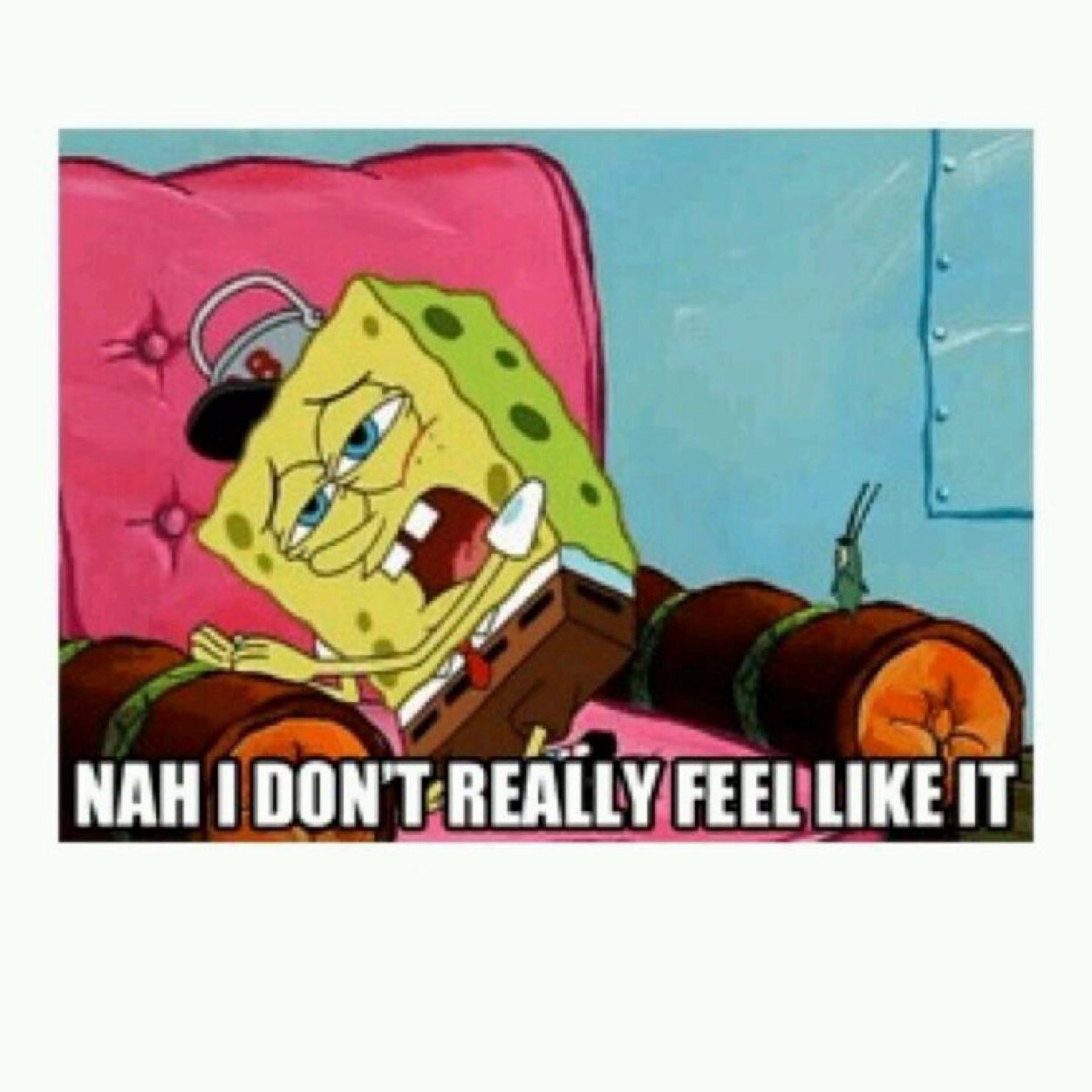 JadepllJade's profile picture. 