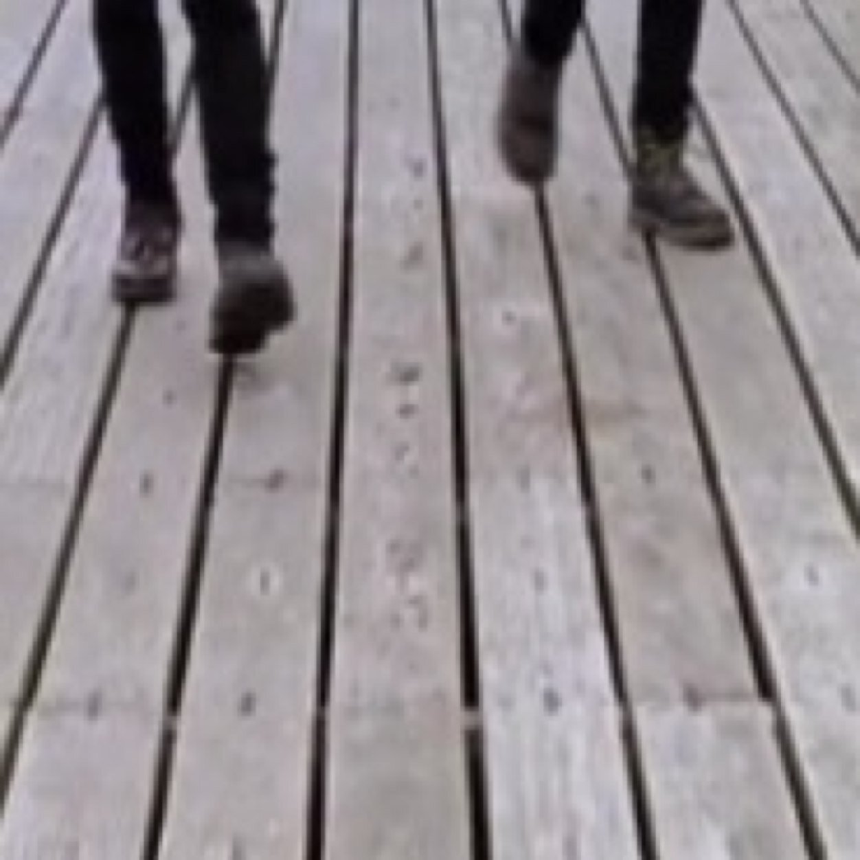 5/5 walked on me