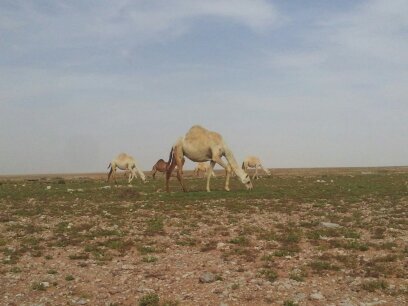 سبحان الله