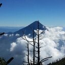 Dora Esperanza - @DoraEsperanza2 - Twitter