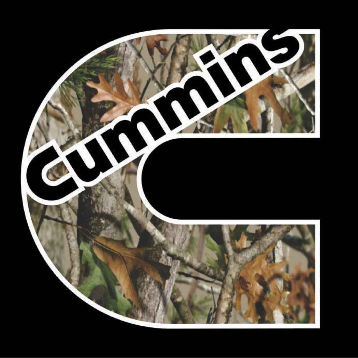 LMAOAtkins's profile picture. Like mudding,hunting,and girls.