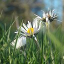 Gary Wales Photo - @GApicture - Twitter