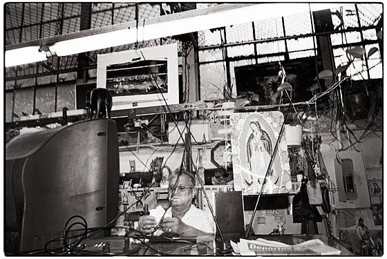 MemoryElBarrio's profile picture. An Audio Walking Tour of El Barrio in NYC