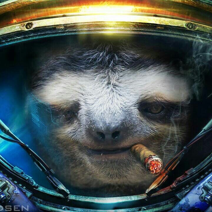 mjfitz456's profile picture. 