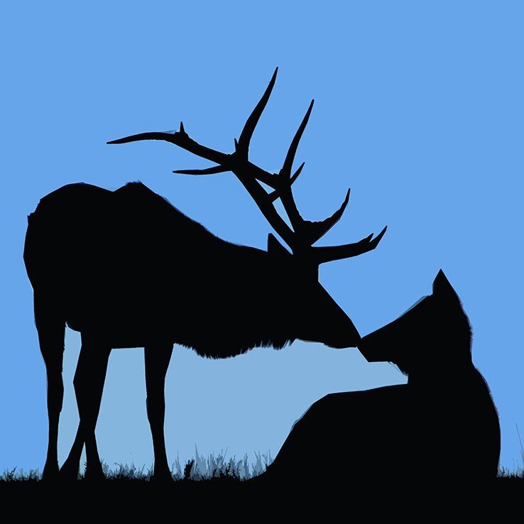 A Comprehensive List Of Estes Park / Rocky Mountain National Park Vacation Rentals