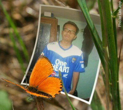 fuat_hasim's profile picture. 