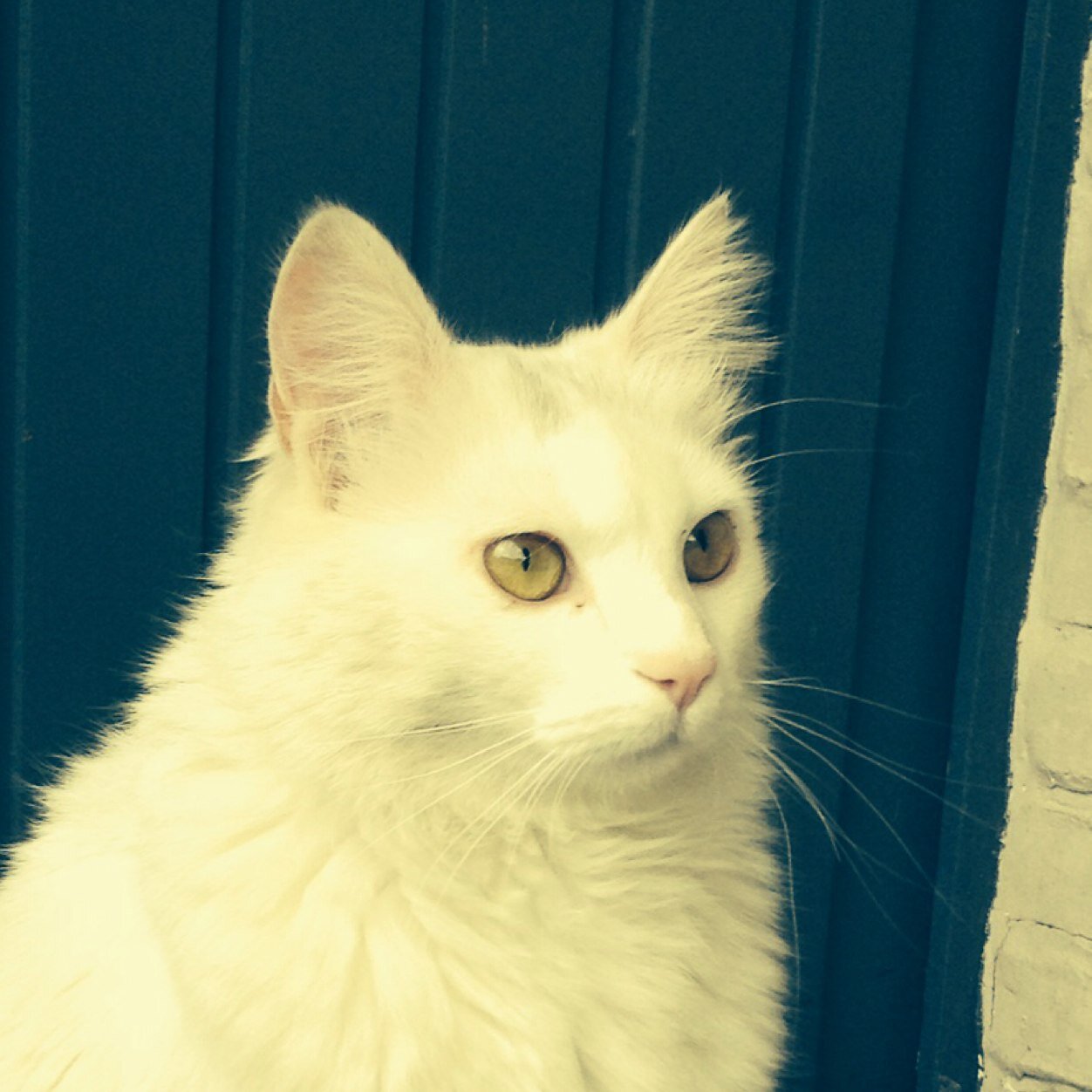 loempiaWOUTERR's profile picture. 