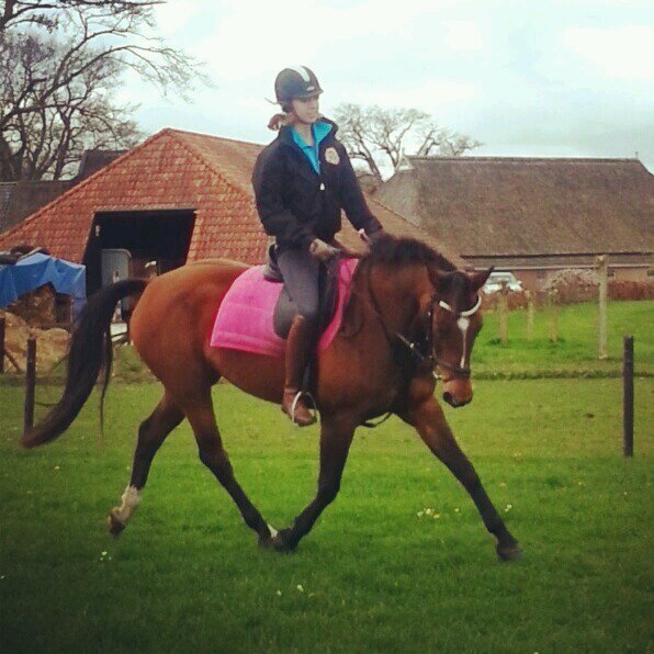 lisamartens4's profile picture. l♡ vrienden voor alles♡ aoc~ horse riding~ ♡ pluk de dag ♥talitaa♡~