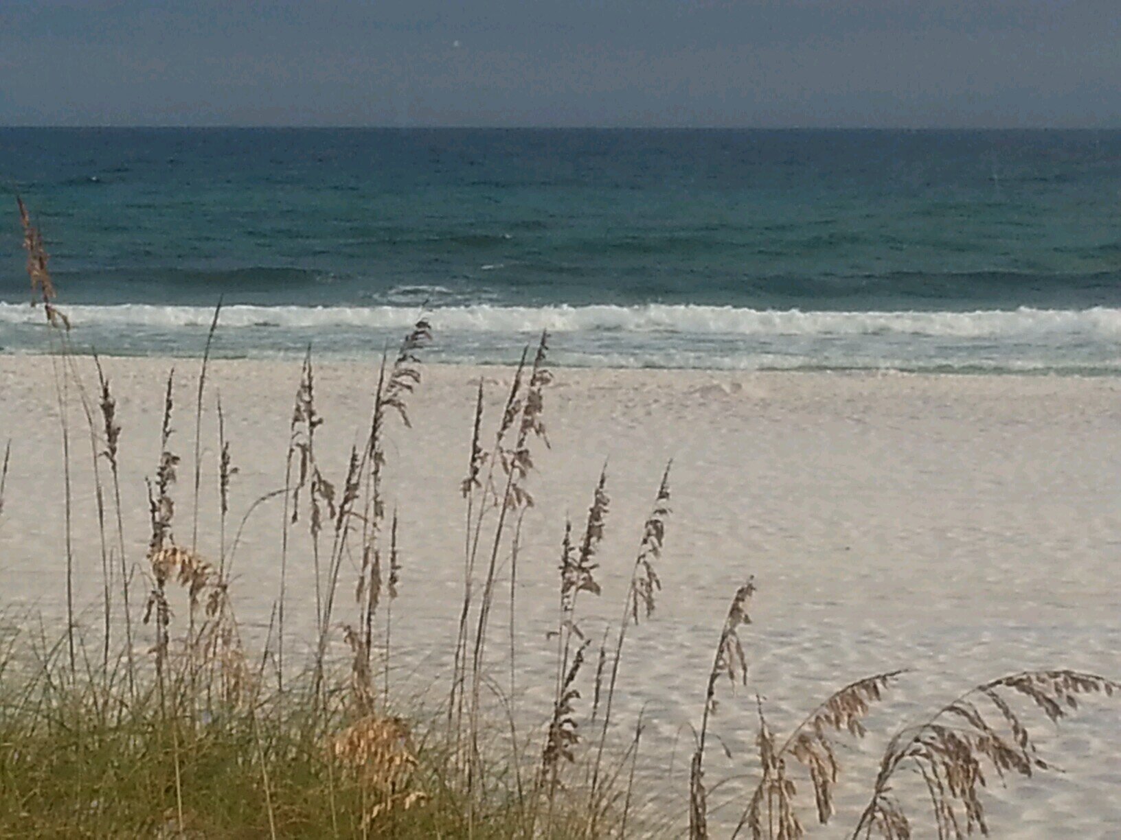 LivinFWB's profile picture. Livin FWB!