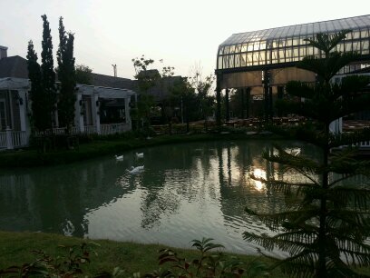 shirleys_xue's profile picture. 