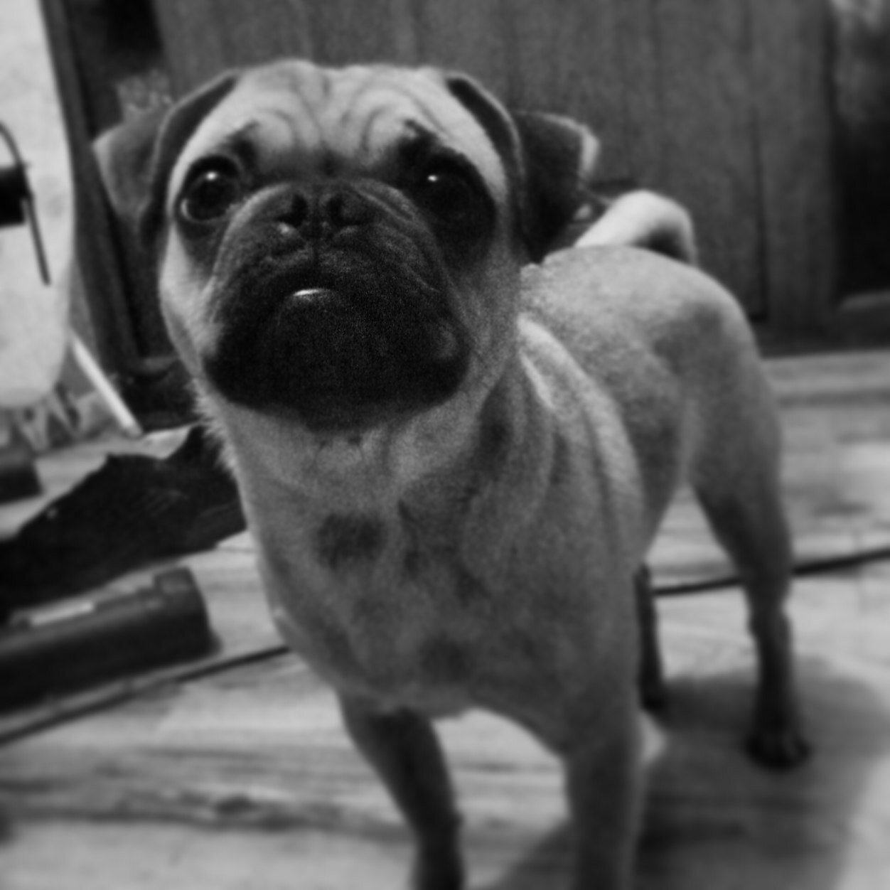 nickywyk's profile picture. oh, you know .... and that's my personal opinion.