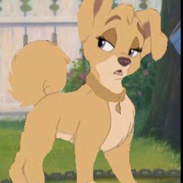 JunkiePuppy_'s profile picture. Small mix breed puppy. I'm a bit arrogant, but I can be really sweet! Owners: @JailedDean @_RebeliousAngel Sister: @WinchesterPawz | #Single #DisneyRP