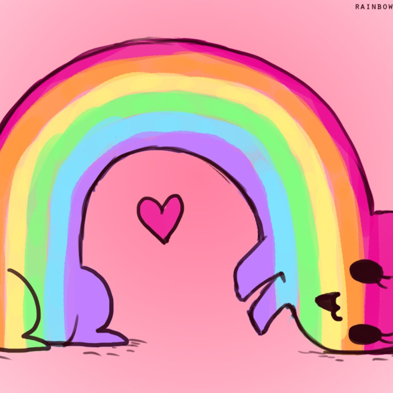 1Dfetusboys's profile picture. I want you all to hug yourself NOW because you are beautiful and I love you!