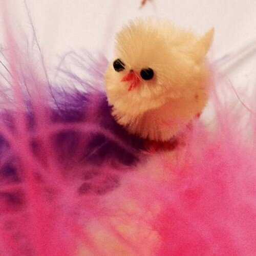 monica_ib's profile picture. 